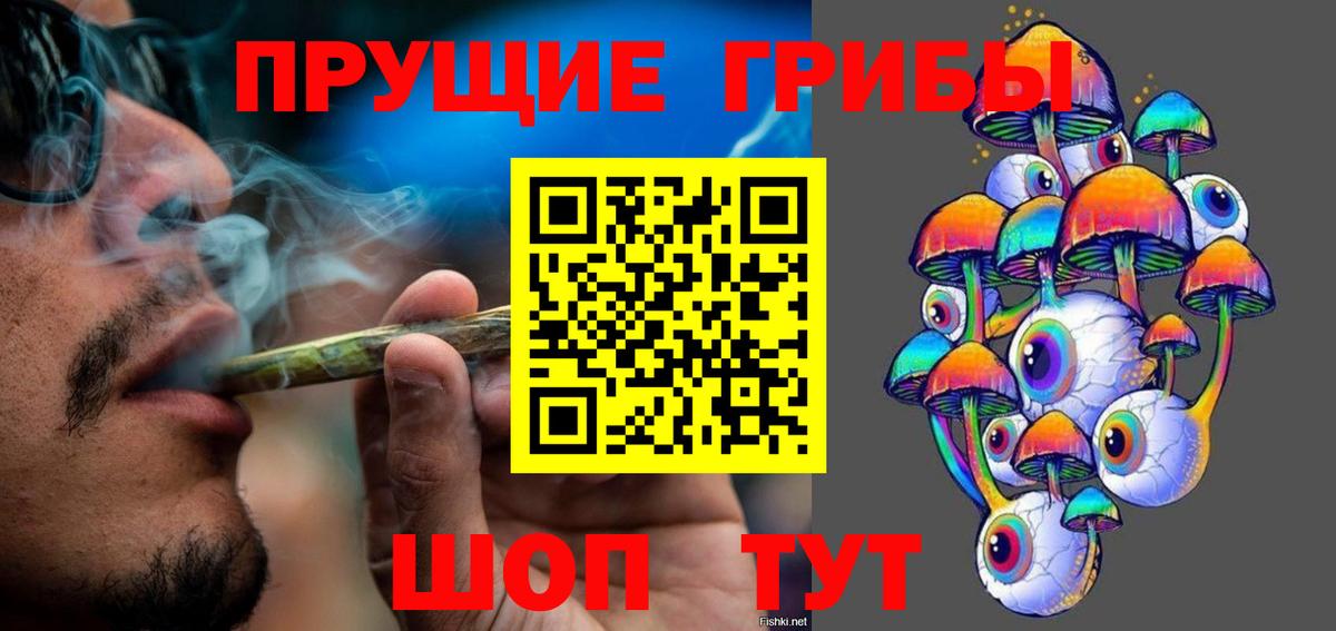 Псилоцибиновые грибы Psilocybe Биробиджан