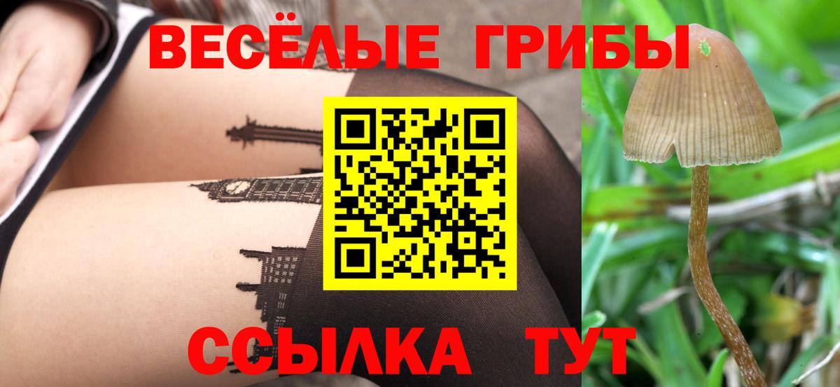 Псилоцибиновые грибы Cubensis  Вход с VPN  Биробиджан  Галлюциногенные грибы GOLDEN TEACHER 
